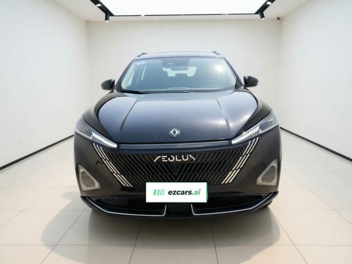 2023 DH-i 1.5T Premium photo 2