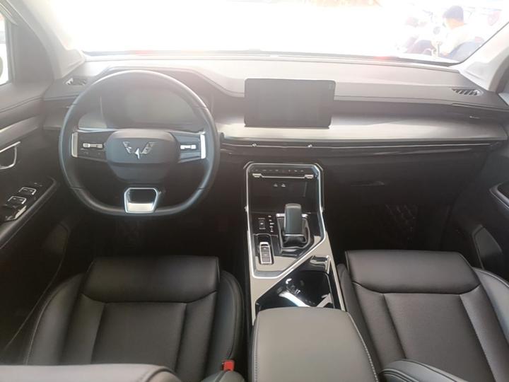 Wuling 2022 2.0L DHT photo 5