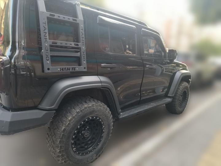 300 2021 Off-road 2.0T Conqueror photo 6