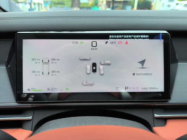 Tang L 2025 DM 175KM photo 7