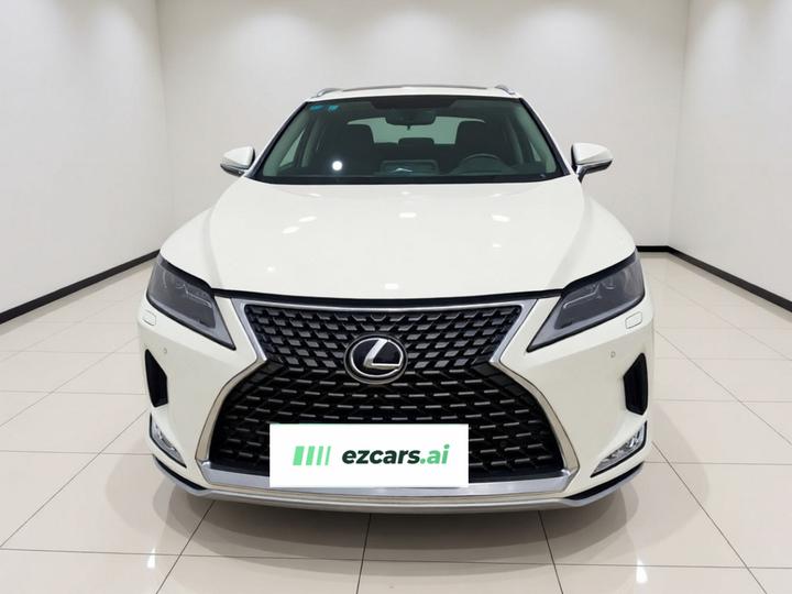 RX 2020 Facelift 300 RWD Elite photo 2