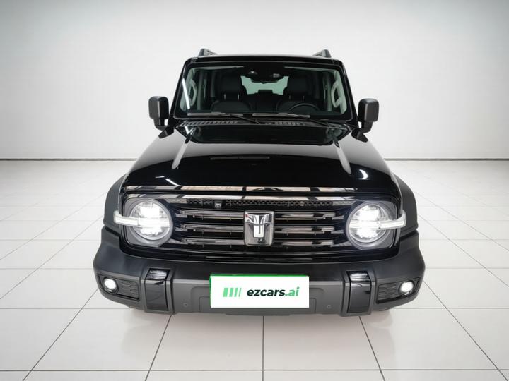 300 2024 2.0T Conqueror photo 2