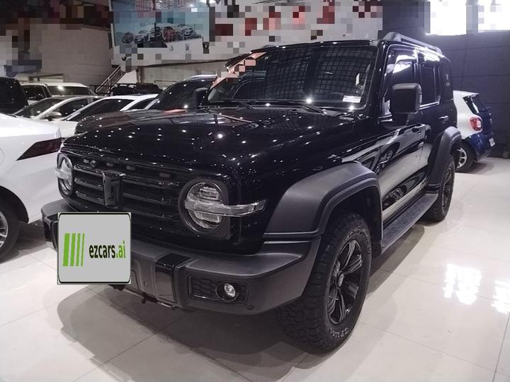 300 2021 Off-road 2.0T Conqueror