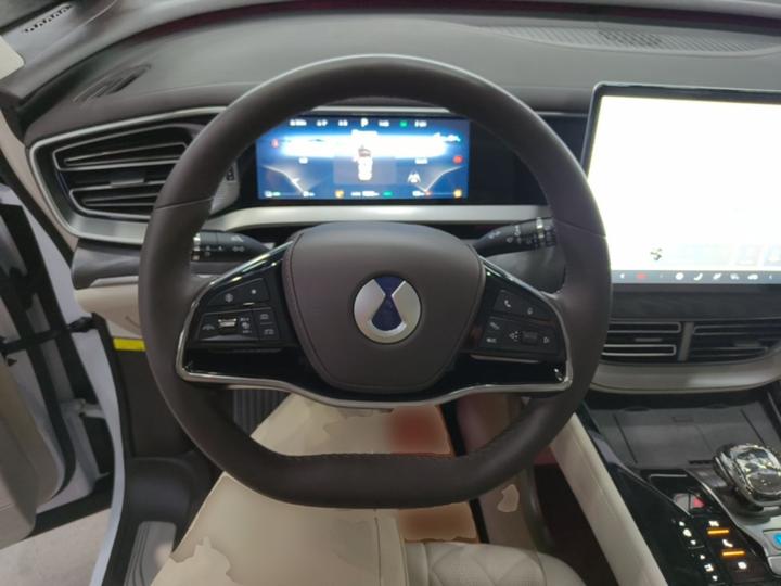 D9 2024 DM-i 980 AWD Premium photo 6