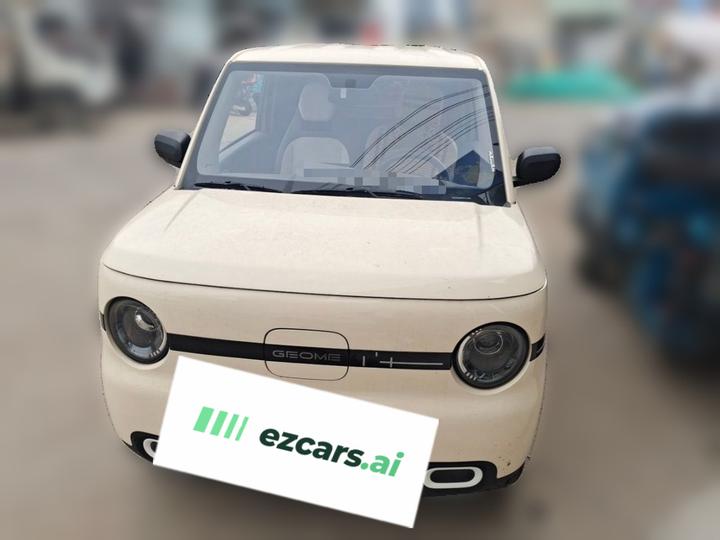 2025 Panda mini 210km Yuan photo 2
