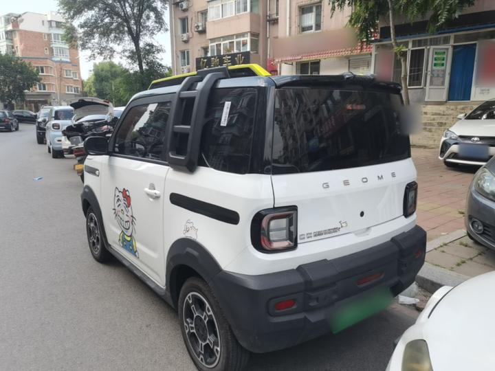 2025 210km Panda photo 4