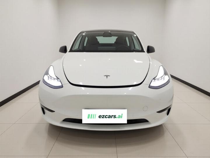Model Y 2021 Long Range AWD photo 2