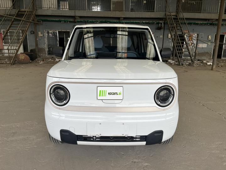 2023 Panda mini 200km Endurance Bear photo 3
