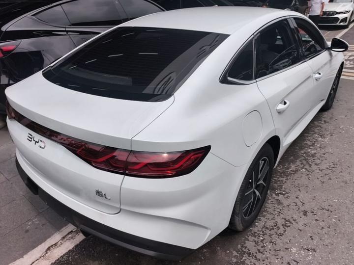 Qin L 2024 DM-i 80KM photo 4
