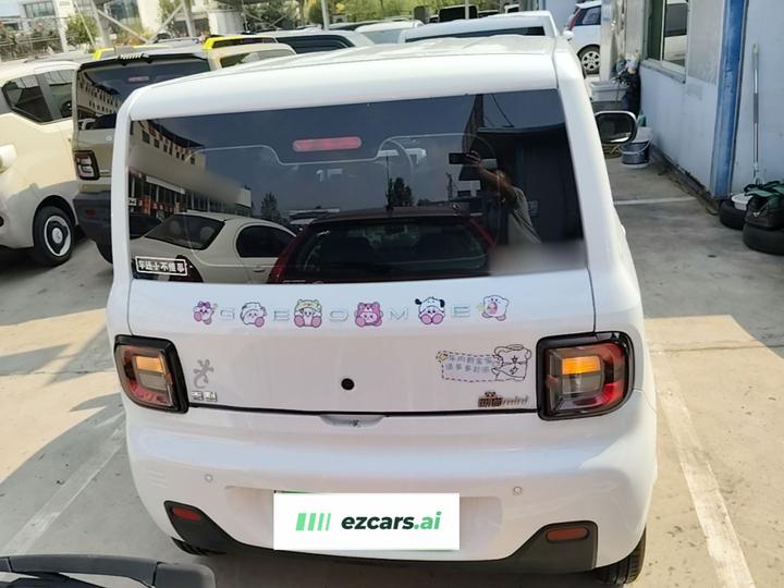 2024 Panda mini 200km Endurance Bear photo 5