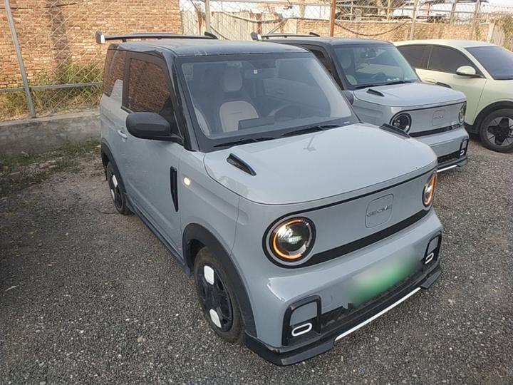 2025 210km Panda photo 3