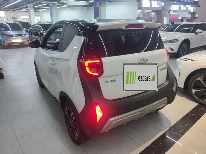 QQ Little Ant 2023 251km LFP photo 4
