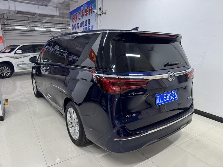 GL8 2020 Avenir 4-Seater photo 4
