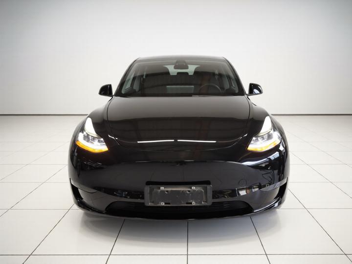 Model Y 2021 Long Range AWD photo 2