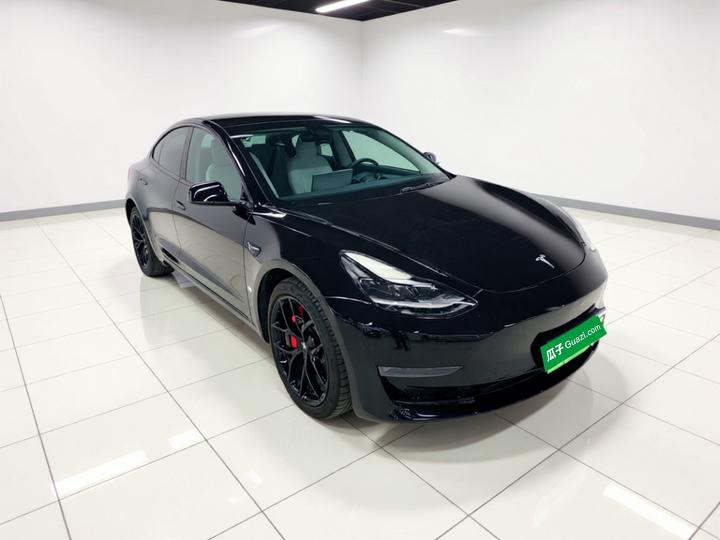 Model 3 2021 Performance AWD photo 3