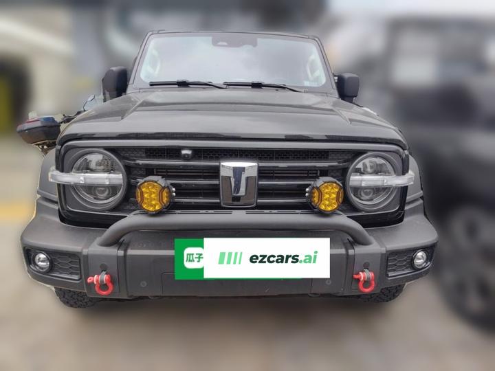 300 2024 2.0T Conqueror photo 2