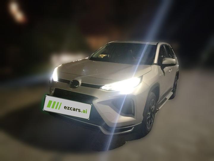 Wildlander EV 2021 Performance 2.5L RWD Power