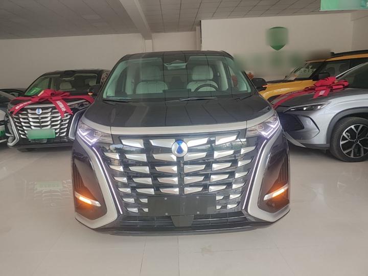 D9 2024 DM-i 980 AWD Noble photo 2