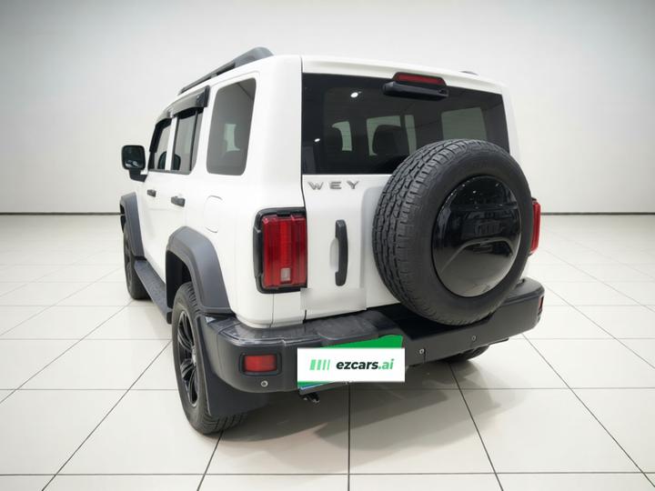 300 2021 Off-road 2.0T Conqueror photo 4