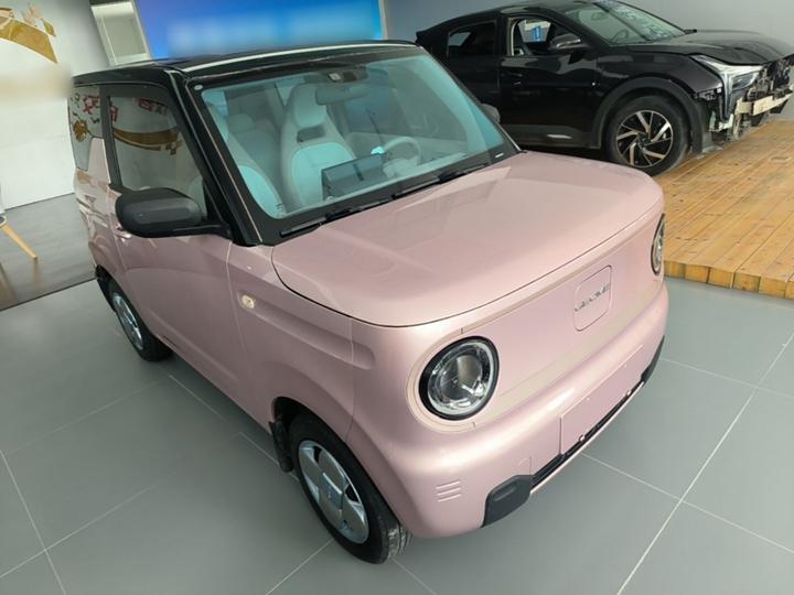 2023 Panda mini 200km Endurance Bear photo 3
