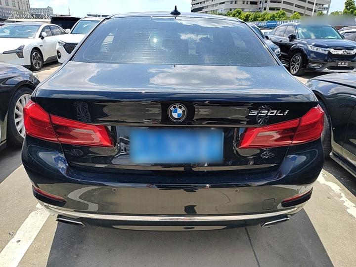 5 Series 2020 530Li Leading Luxury photo 3