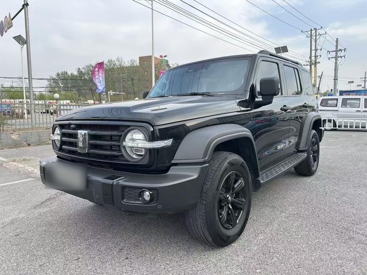 300 2024 2.0T Conqueror