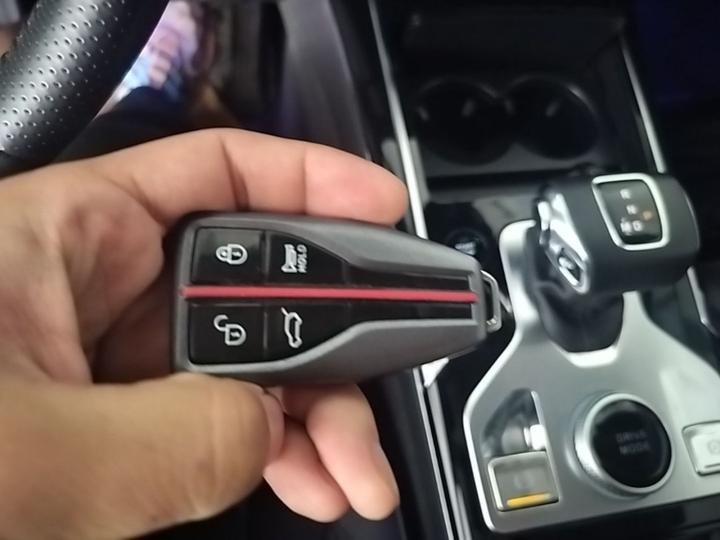 HS5 2019 2.0T Connected AWD photo 8