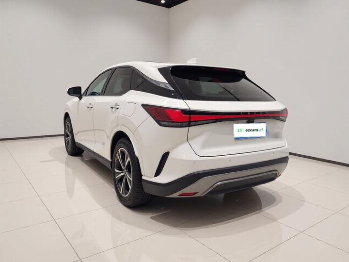 RX 2025 300 AWD photo 4