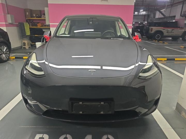Model Y 2021 Long Range AWD photo 2