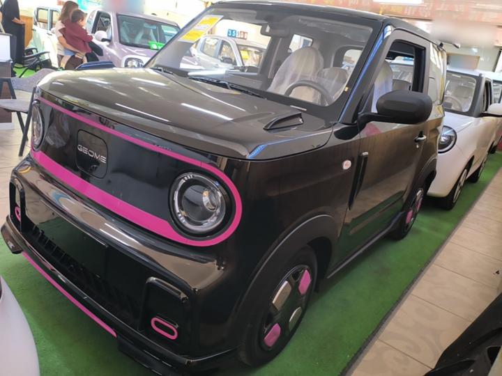 2025 210km Panda