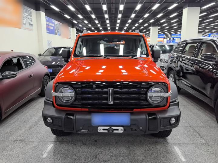 300 2021 Off-road 2.0T Conqueror photo 2