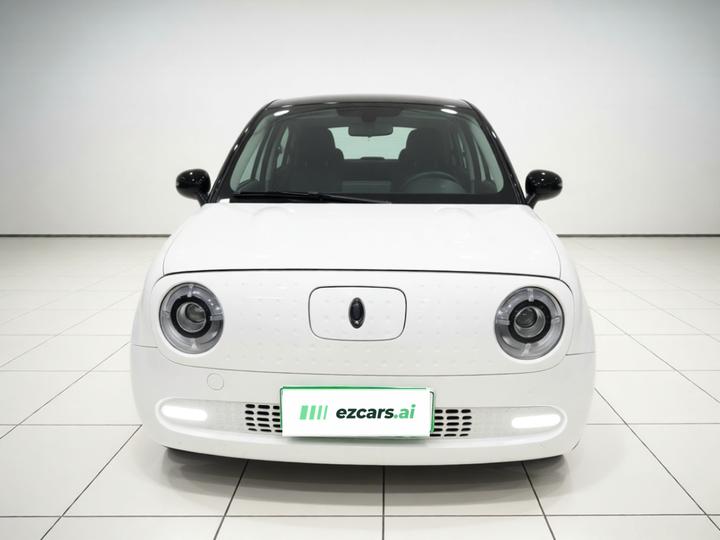 2021 351km Luxury photo 2