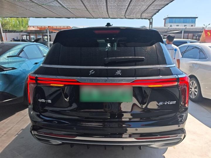 E-HS9 2021 460km 6-Seater photo 3