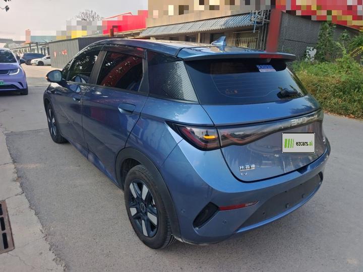Dolphin 2025 ADAS 410km Fashion photo 4