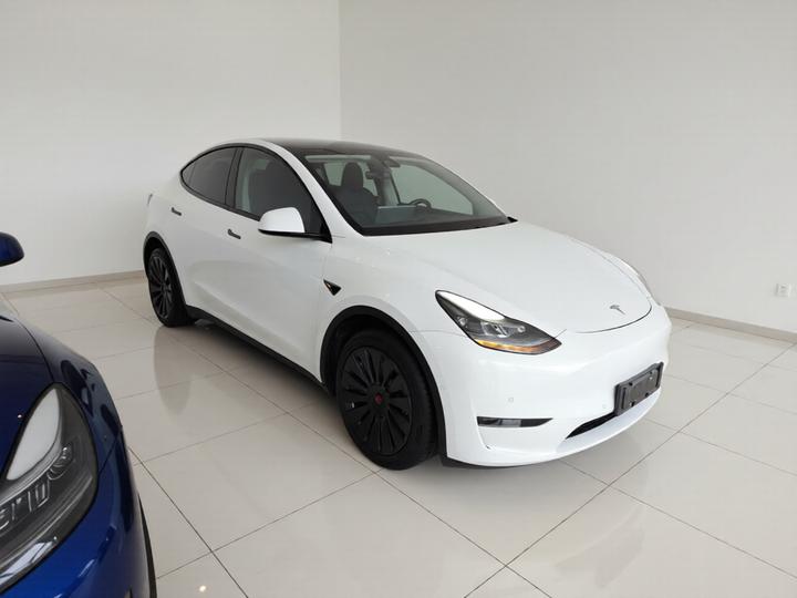 Model Y 2021 Long Range AWD photo 3