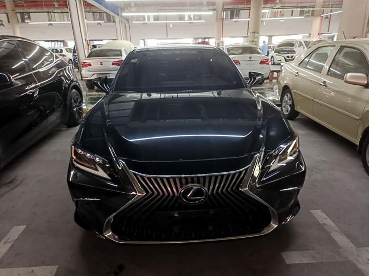 ES 2018 300h Exclusive China V photo 2