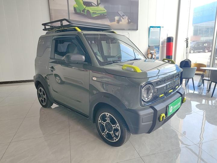 2025 210km Panda photo 3