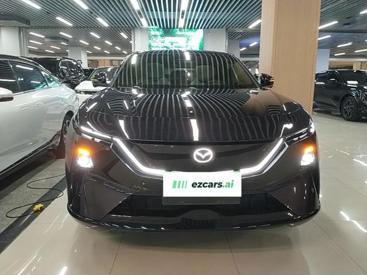 EZ-60 2025 EV 600 Max photo 2