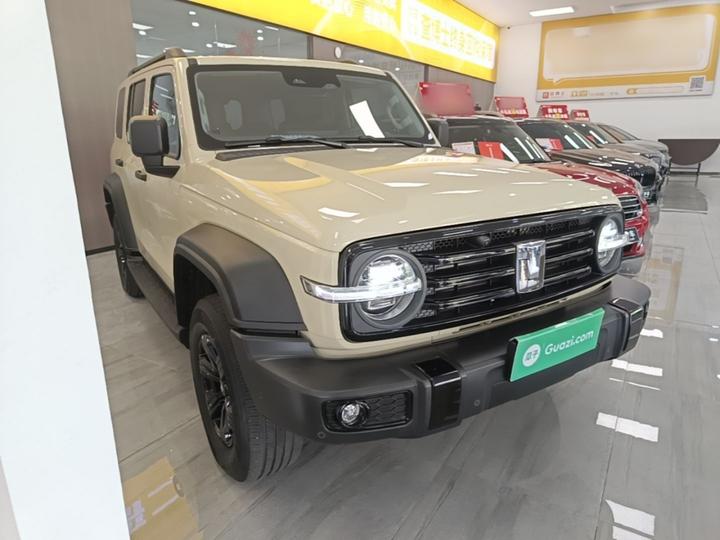 300 2025 2.0T Petrol Conqueror photo 3