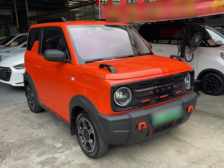2025 210km Panda photo 6