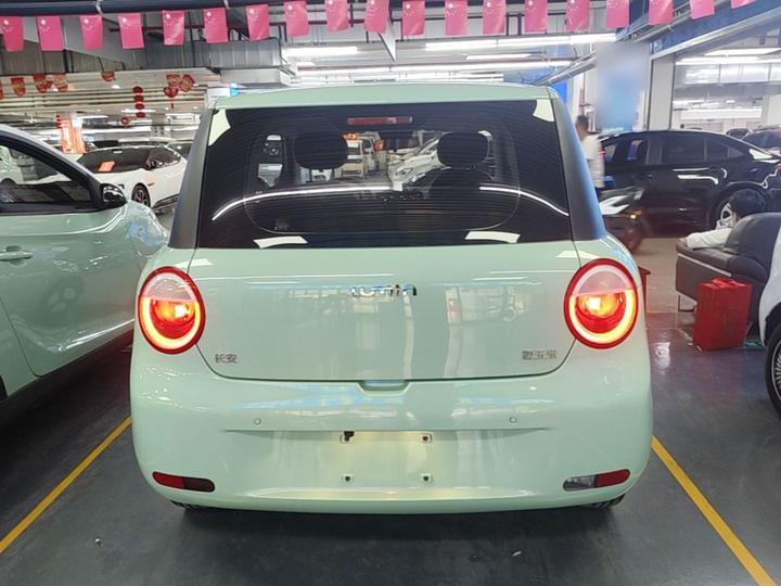 Nevo Changan Lumin 2024 301km photo 5