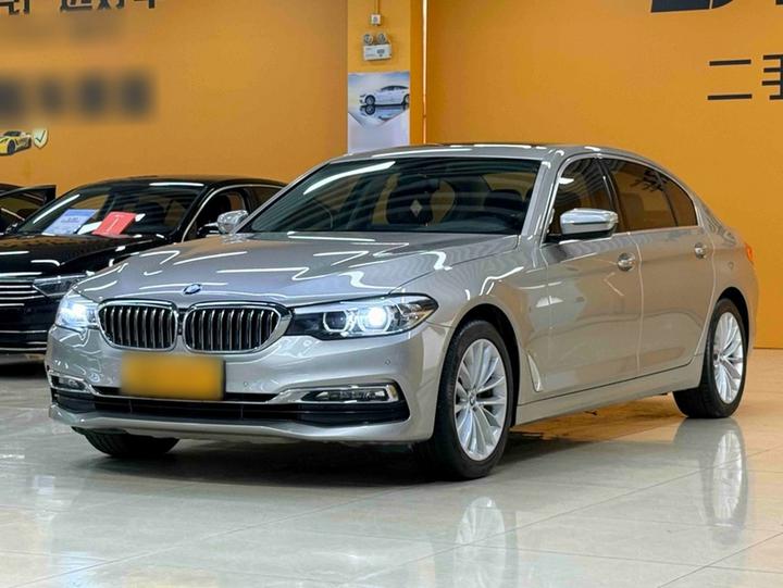 5 Series 2018 525Li Luxury photo 6