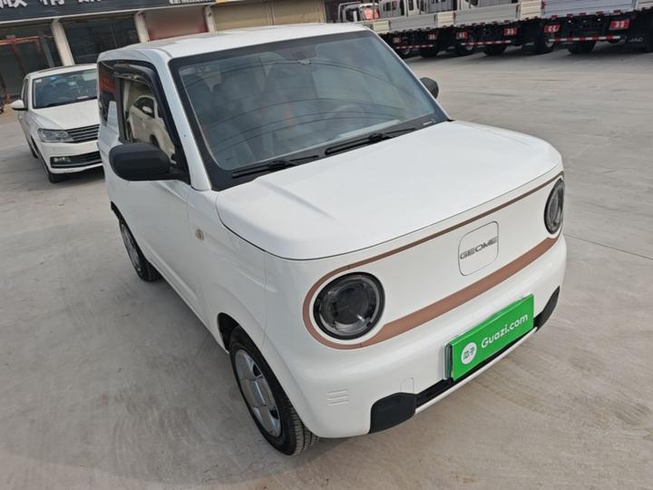 2023 Panda mini 200km Endurance Bear photo 3