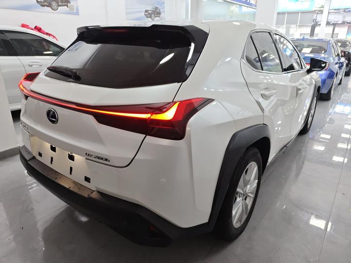 UX 2019 260h China VI photo 4