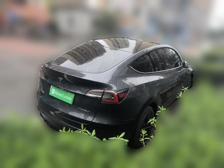 Model Y 2024 RWD photo 6