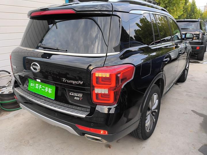 GAC Trumpchi GS8 2017 320T RWD Luxury Connected 7-Seater photo 6