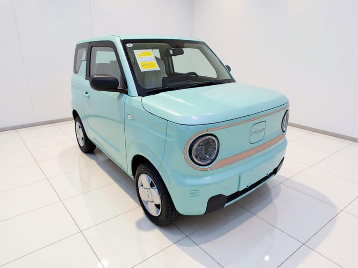 2024 Panda mini 200km Endurance Bear photo 3
