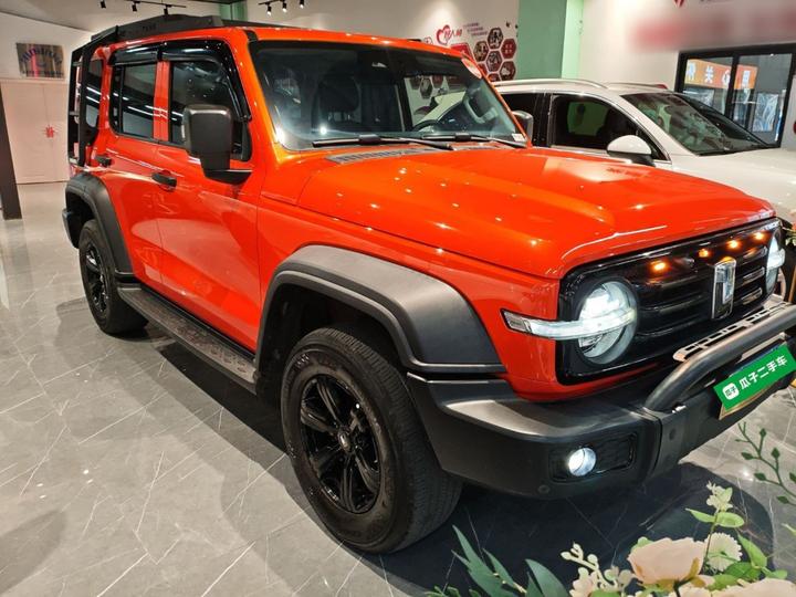 300 2023 Off-road 2.0T Conqueror photo 3