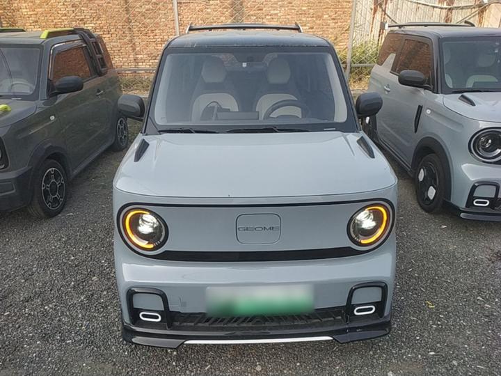 2025 210km Panda photo 2