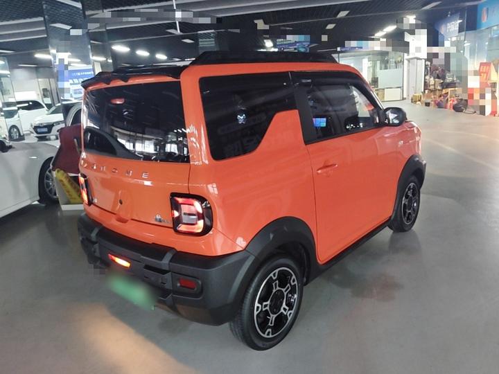 2024 200km Panda photo 4